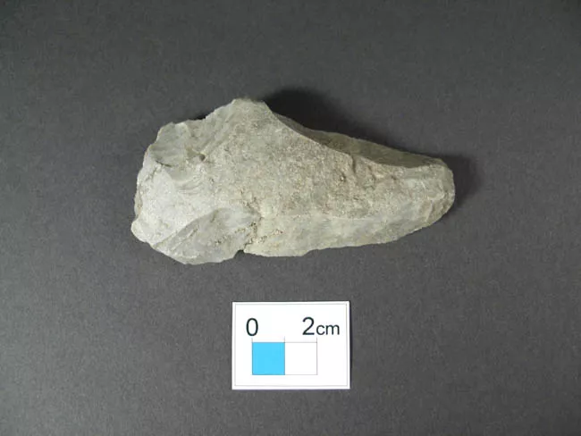 Raedera
