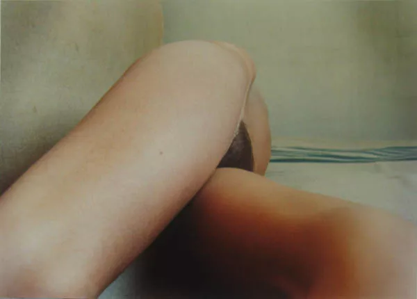 Un desnudo