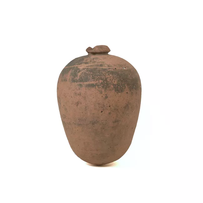 Botija