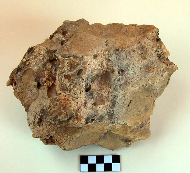 Núcleo
