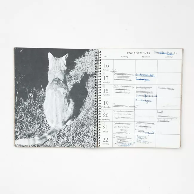 The Cat Calendar