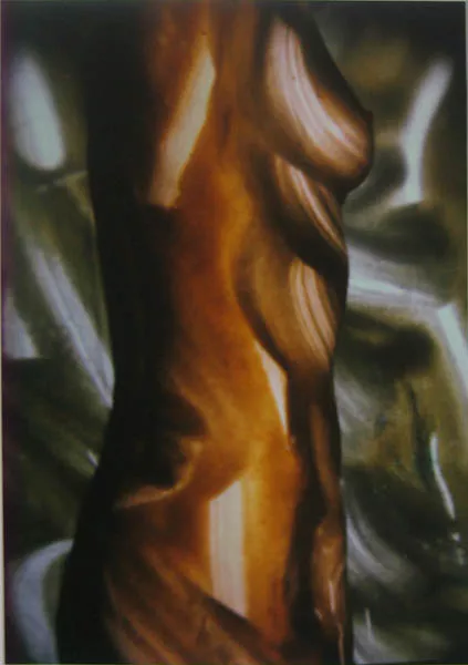 Torso 