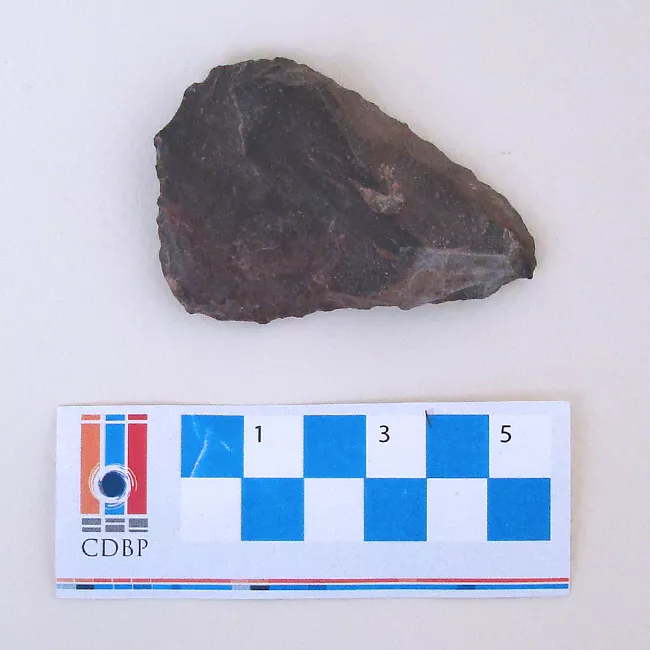 Herramienta