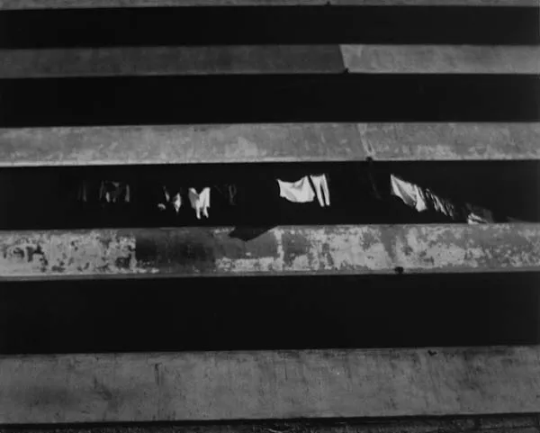 Escala Tonal
