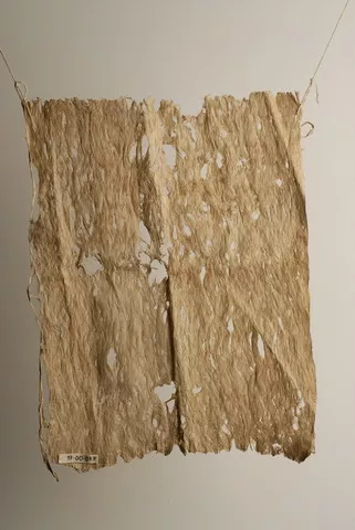 Tela
