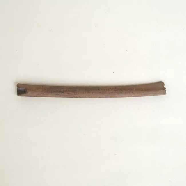 Tubo