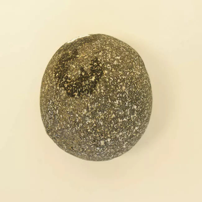 Bola