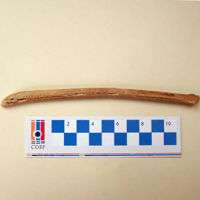 Espátula