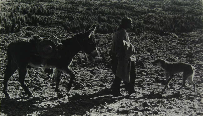Sendero áspero