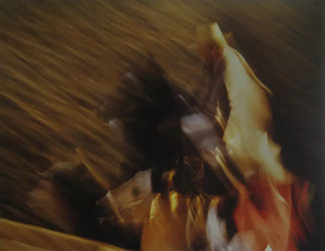 Fantasía del rodeo
