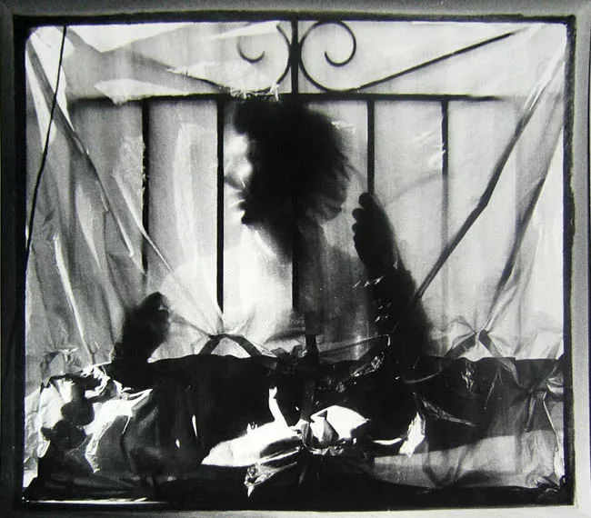 Serie: De la Creación IV
