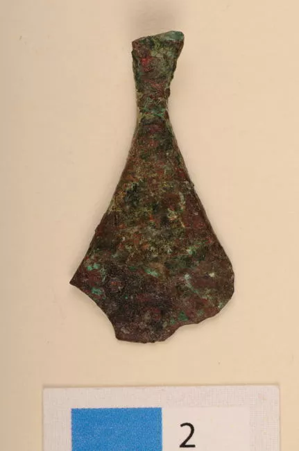 Pinza
