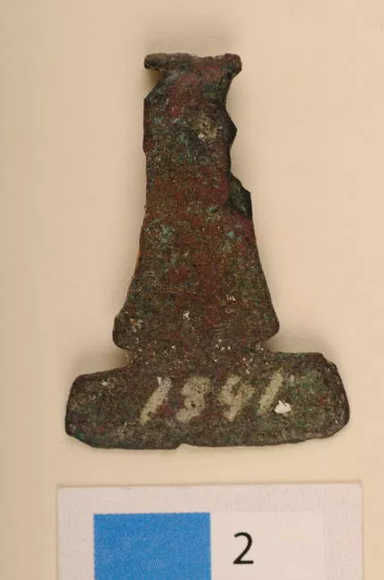 Pinza