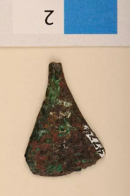 Pinza