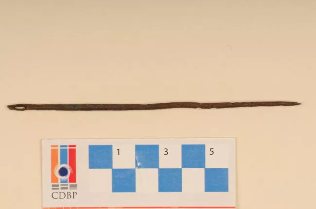 Aguja (arqueológico y etnográfico)