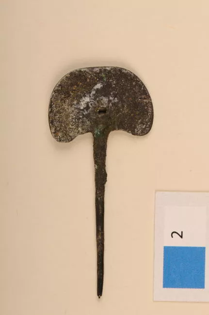 Tupu