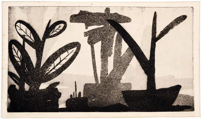 Plantas