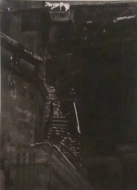 La magia de la luz