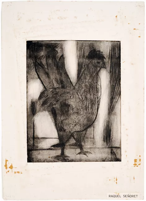 Gallo