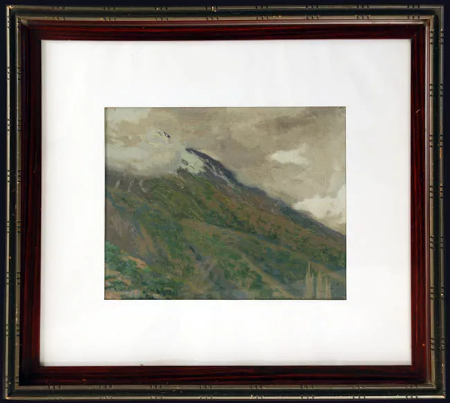 Paisaje cordillerano