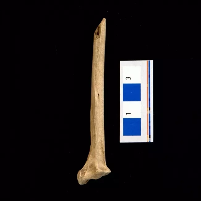 Retocador (arqueológico)