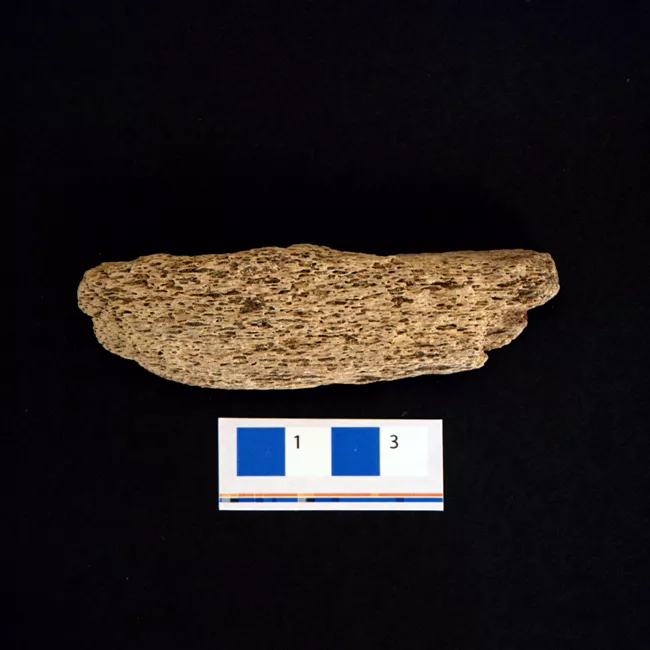 Desconchador