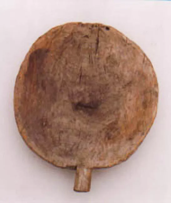Chaya