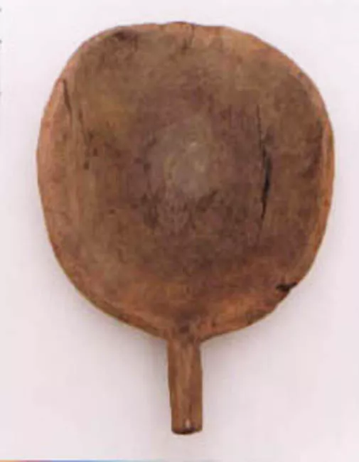 Chaya
