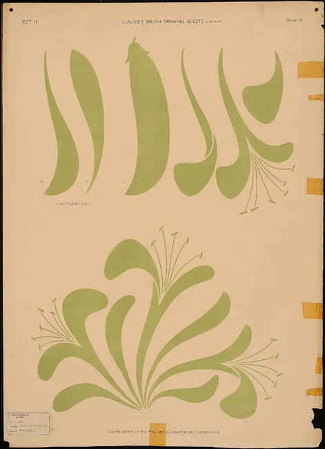 Construction of the pea