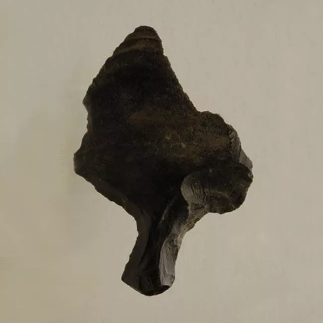 Mata'a