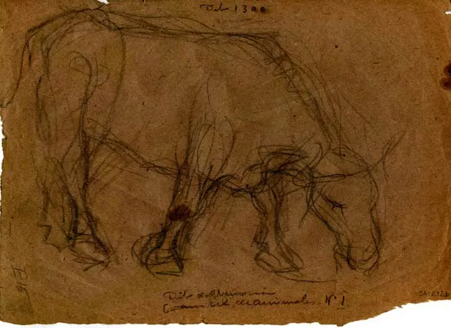 Croquis de figuras animales