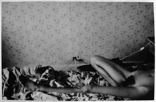 Serie Desnudos