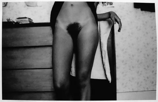 Serie Desnudos