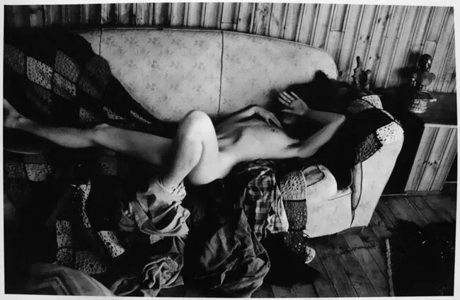 Serie Desnudos