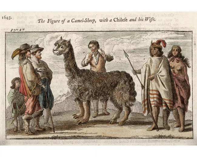 The figure of a Camel Sheep with a Chilese and his Wife