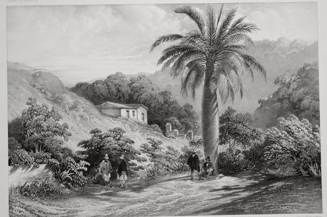 Environs de Valparaiso (Chili)