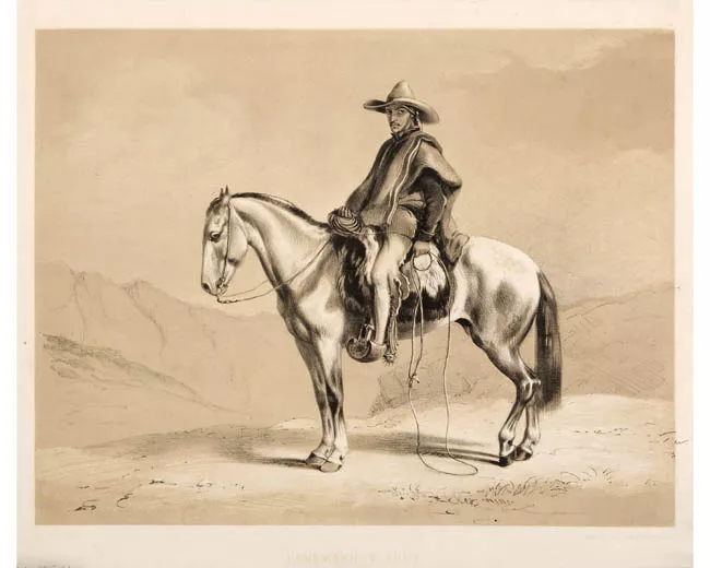 Hombre del campo Chile