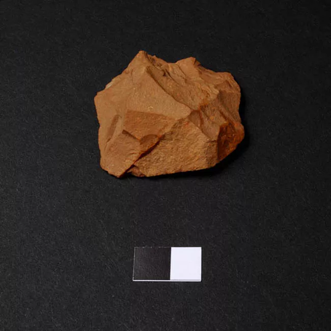 Raedera