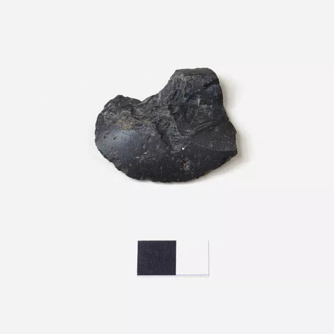 Raedera