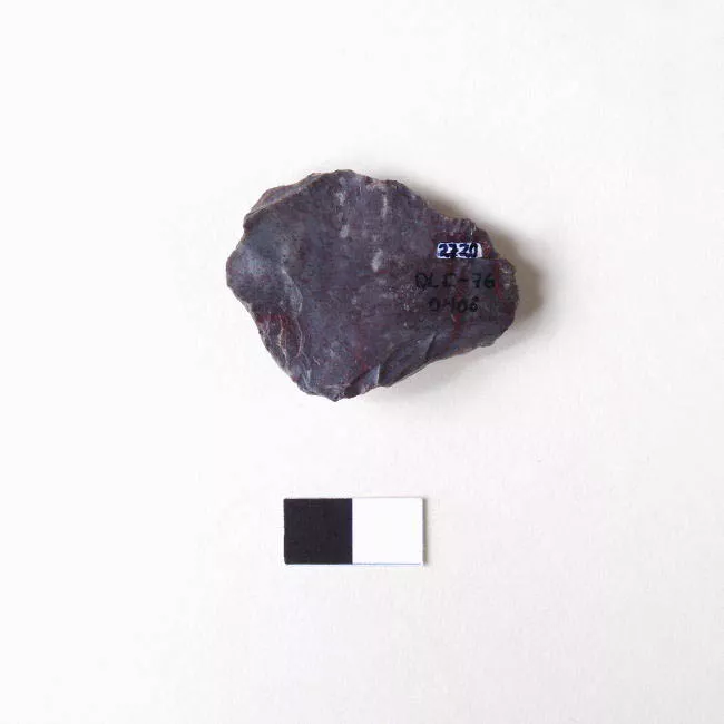 Raedera