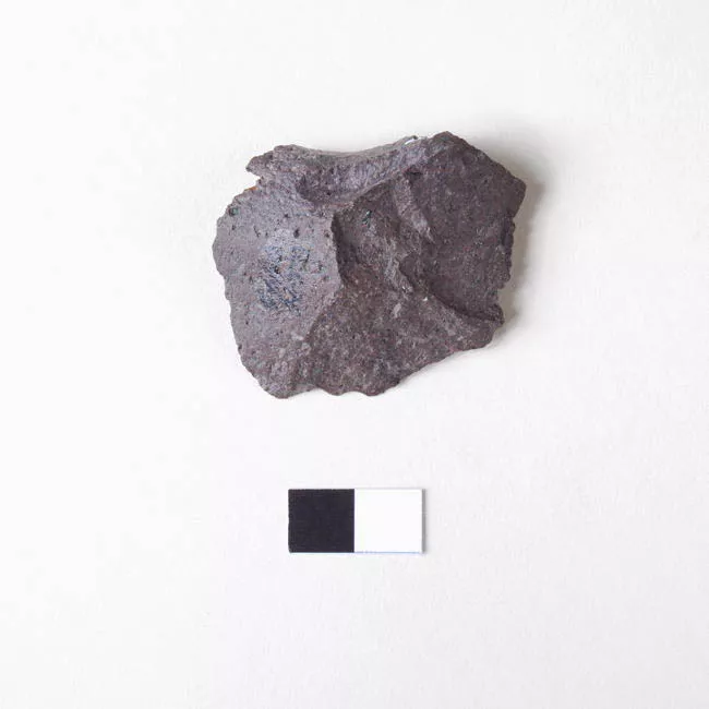 Raedera