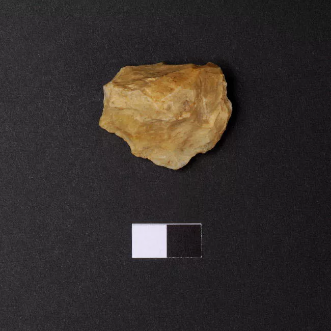 Raedera