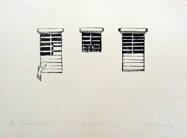 Ventana VII