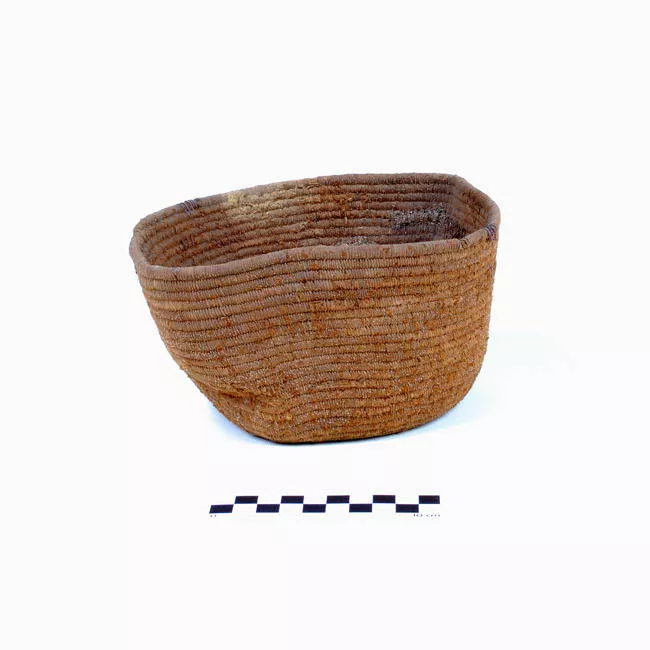 Cesta