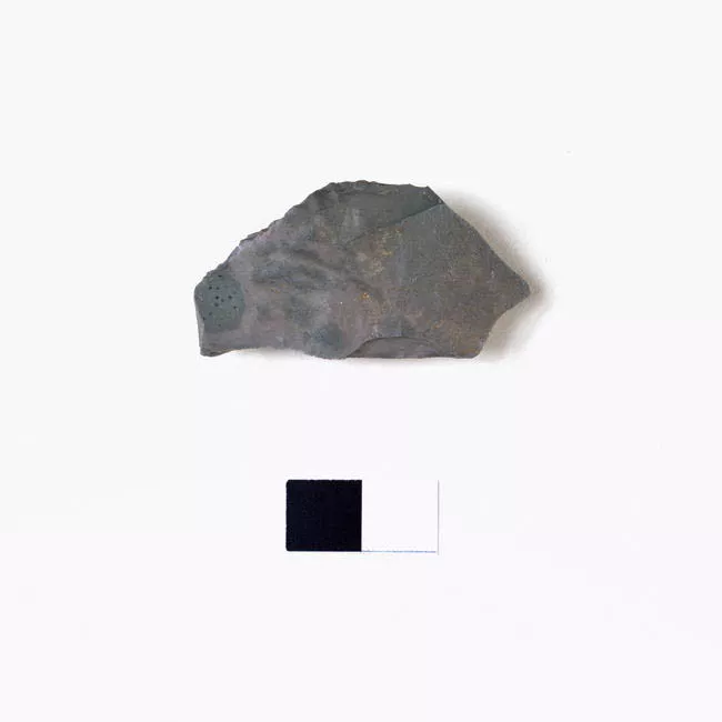 Raedera