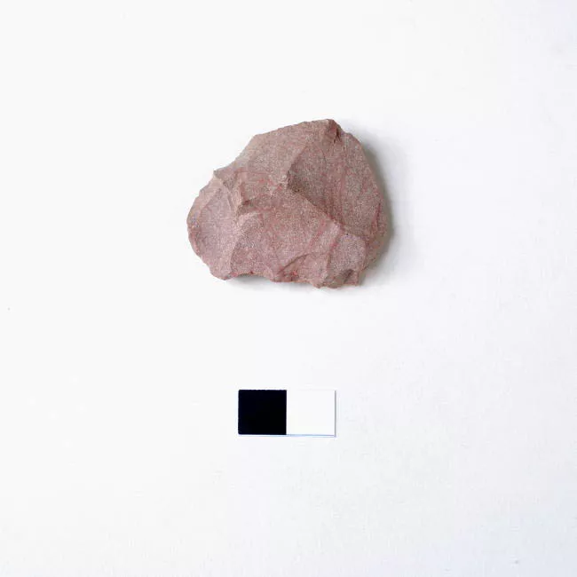 Raedera