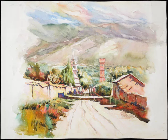 Paisaje de Vicuña