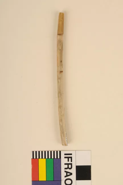 Tubo