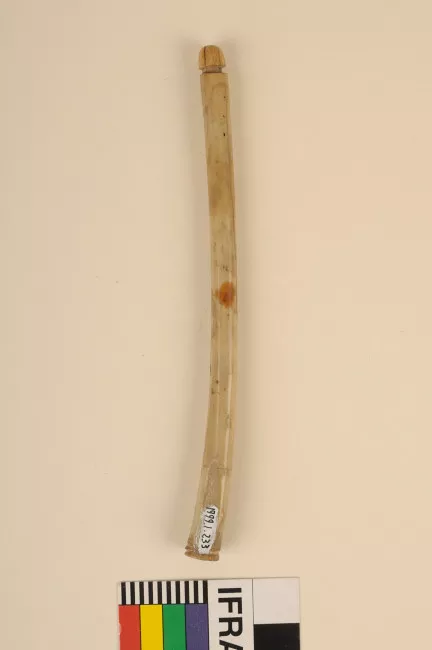Tubo