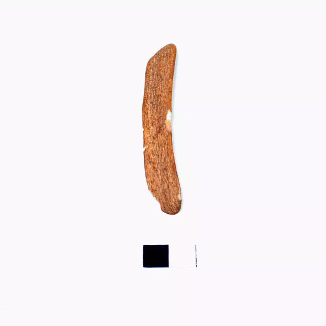 Espátula